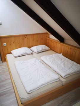 273643729_1114369009324860_1937036136162356825_n