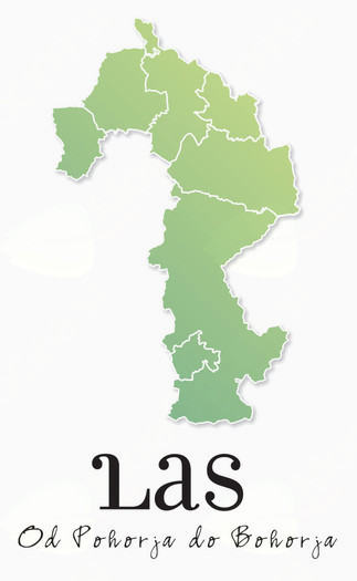 LAS.jpg